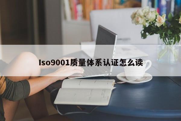 Iso9001质量体系认证怎么读