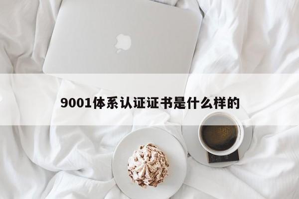 9001体系认证证书是什么样的