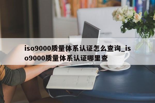 ISO90010质量体系认证怎么查询_ISO90010质量体系认证哪里查