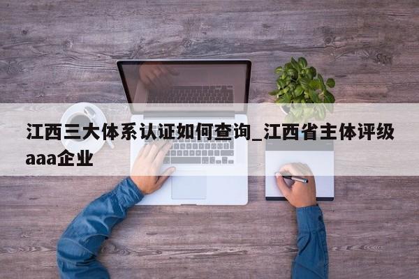江西三大体系认证如何查询_江西省主体评级aaa企业