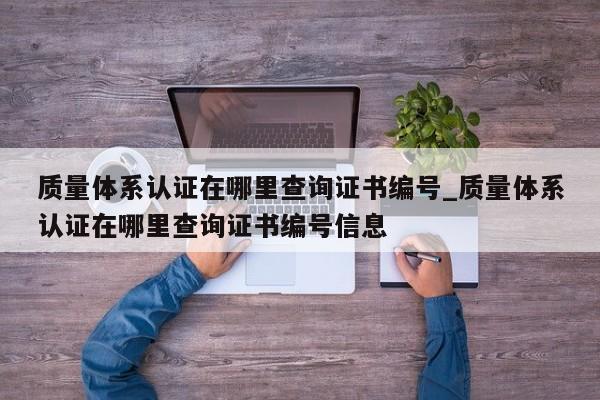 质量体系认证在哪里查询证书编号_质量体系认证在哪里查询证书编号信息