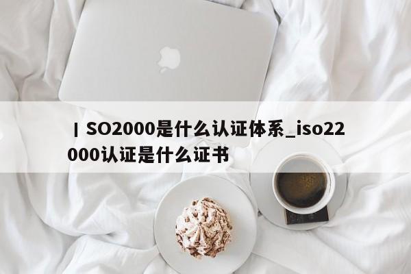 丨SO2000是什么认证体系_iso22000认证是什么证书