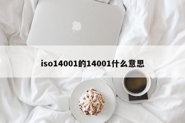 iso14001的14001什么意思