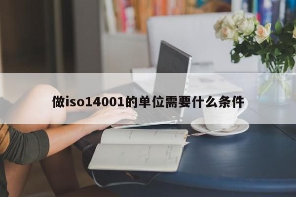 做iso14001的单位需要什么条件