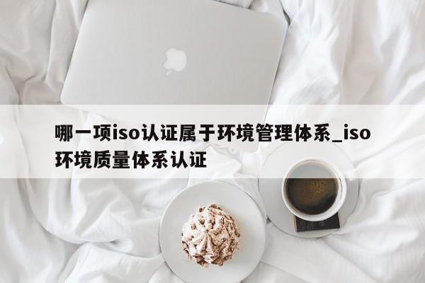 哪一项iso认证属于环境管理体系_iso环境质量体系认证