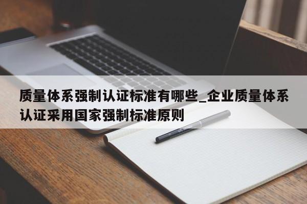 质量体系强制认证标准有哪些_企业质量体系认证采用国家强制标准原则