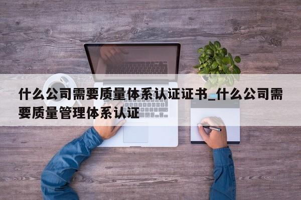 什么公司需要质量体系认证证书_什么公司需要质量管理体系认证