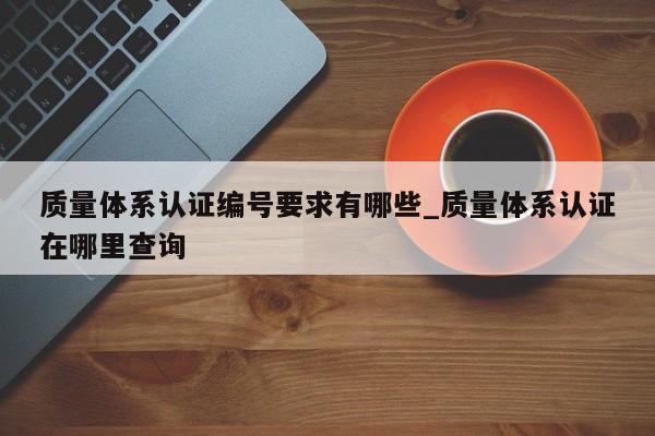 质量体系认证编号要求有哪些_质量体系认证在哪里查询