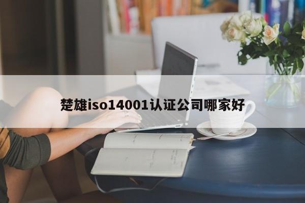 楚雄iso14001认证公司哪家好