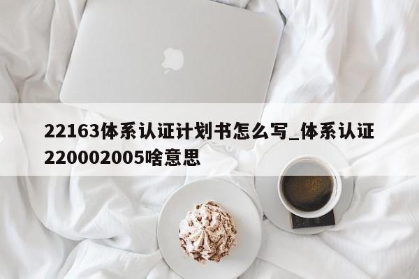 22163体系认证计划书怎么写_体系认证220002005啥意思