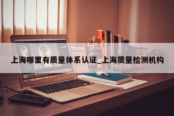 上海哪里有质量体系认证_上海质量检测机构