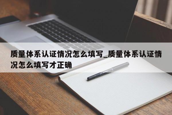 质量体系认证情况怎么填写_质量体系认证情况怎么填写才正确