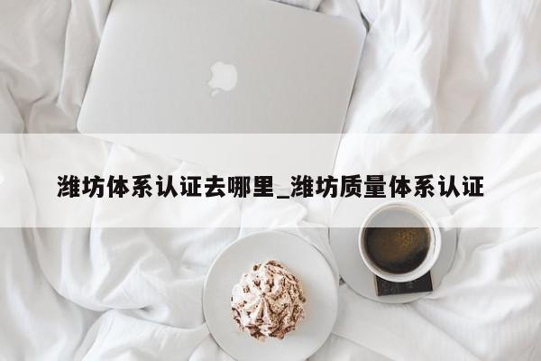 潍坊体系认证去哪里_潍坊质量体系认证
