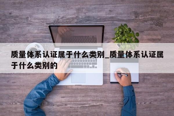 质量体系认证属于什么类别_质量体系认证属于什么类别的
