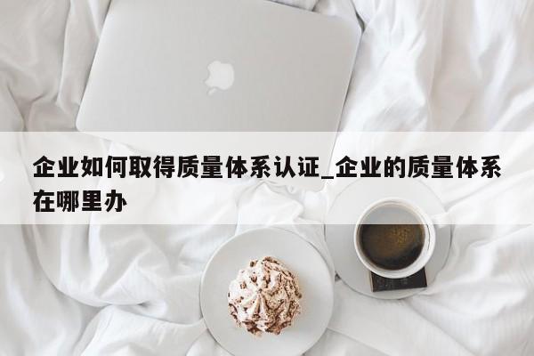 企业如何取得质量体系认证_企业的质量体系在哪里办
