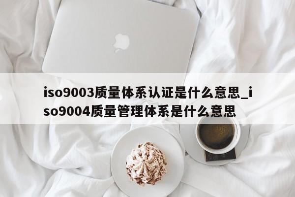ISO90013质量体系认证是什么意思_ISO90014质量管理体系是什么意思
