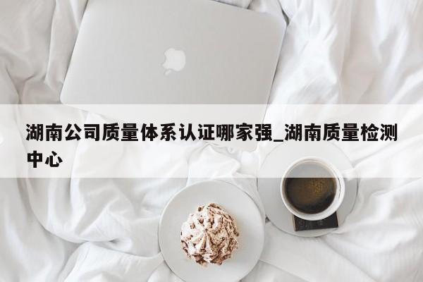 湖南公司质量体系认证哪家强_湖南质量检测中心