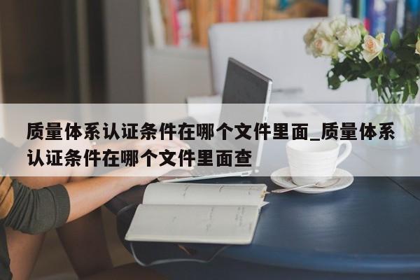 质量体系认证条件在哪个文件里面_质量体系认证条件在哪个文件里面查