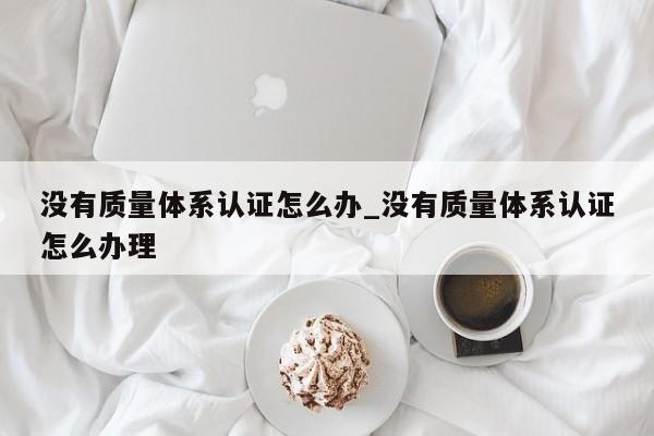 没有质量体系认证怎么办_没有质量体系认证怎么办理