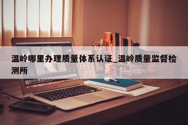 温岭哪里办理质量体系认证_温岭质量监督检测所