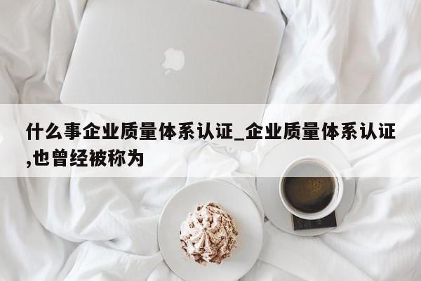 什么事企业质量体系认证_企业质量体系认证,也曾经被称为 