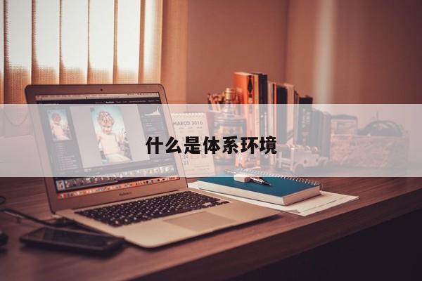 什么是体系环境