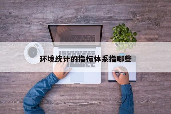 环境统计的指标体系指哪些