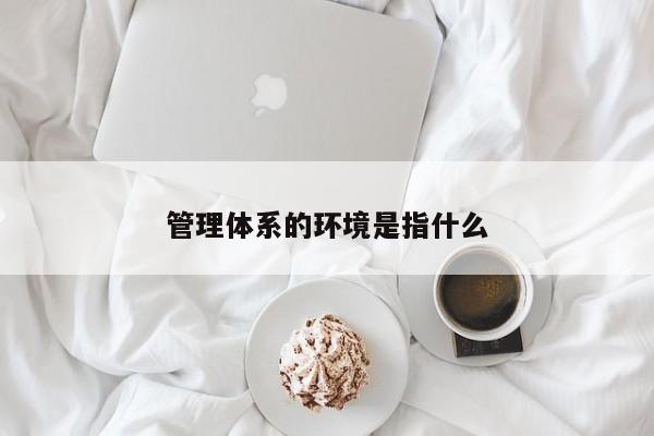 管理体系的环境是指什么