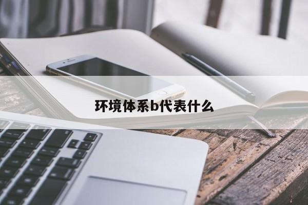 环境体系b代表什么