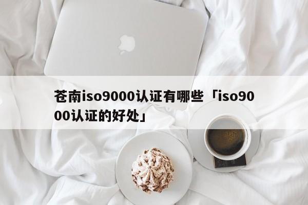 苍南ISO9001认证有哪些「ISO9001认证的好处」