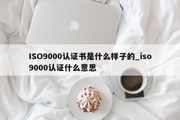 ISO9000认证书是什么样子的_ISO9001认证什么意思