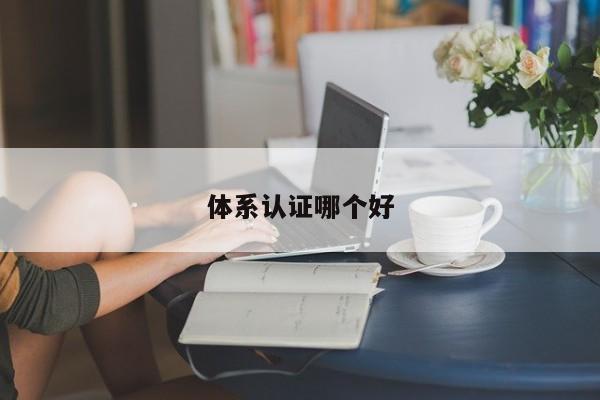 体系认证哪个好