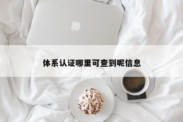 体系认证哪里可查到呢信息