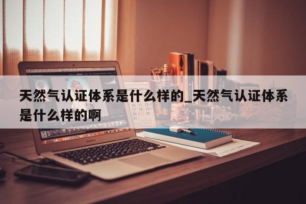 天然气认证体系是什么样的_天然气认证体系是什么样的啊