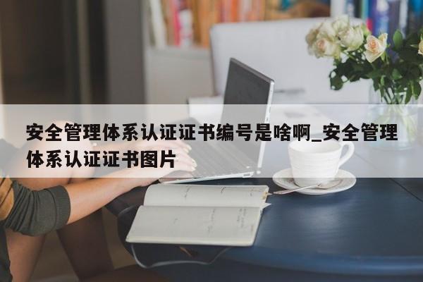 安全管理体系认证证书编号是啥啊_安全管理体系认证证书图片