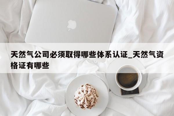 天然气公司必须取得哪些体系认证_天然气资格证有哪些