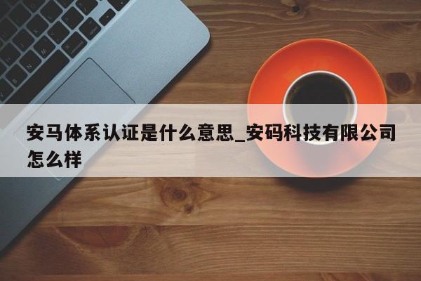 安马体系认证是什么意思_安码科技有限公司怎么样