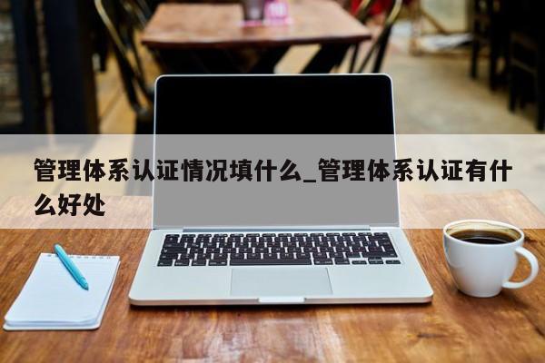 管理体系认证情况填什么_管理体系认证有什么好处