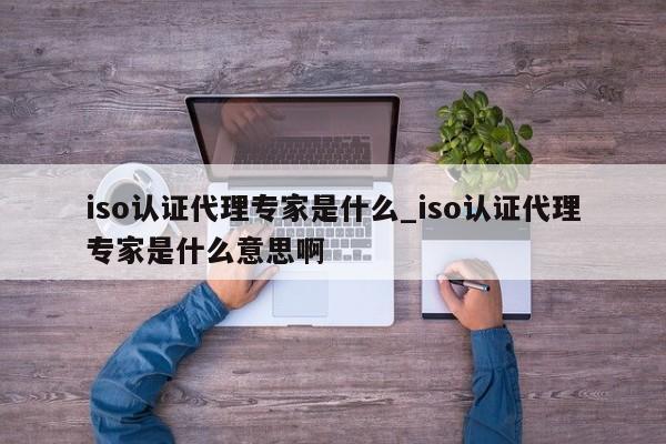 iso认证代理专家是什么_iso认证代理专家是什么意思啊