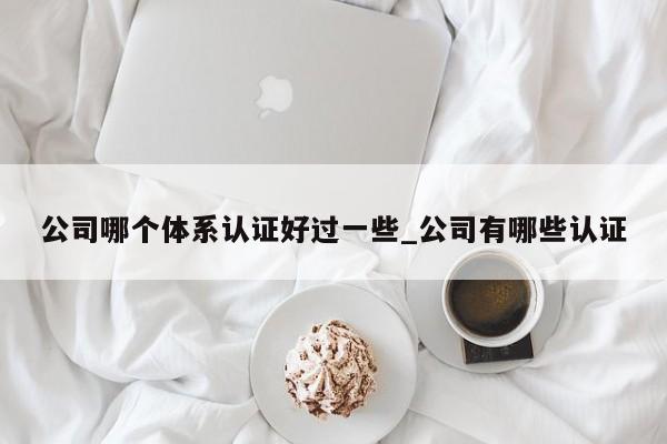 公司哪个体系认证好过一些_公司有哪些认证