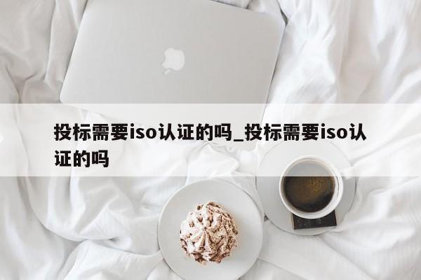 投标需要iso认证的吗_投标需要iso认证的吗