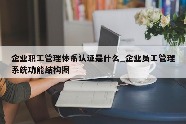 企业职工管理体系认证是什么_企业员工管理系统功能结构图