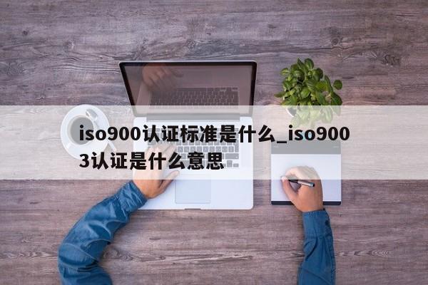 ISO9001认证标准是什么_ISO90013认证是什么意思