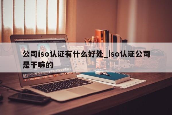 公司iso认证有什么好处_iso认证公司是干嘛的