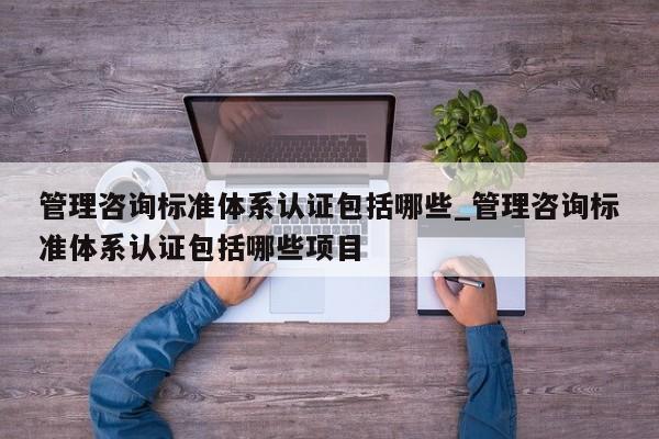 管理咨询标准体系认证包括哪些_管理咨询标准体系认证包括哪些项目