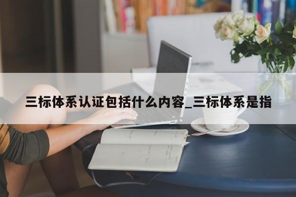 三标体系认证包括什么内容_三标体系是指