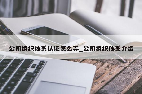公司组织体系认证怎么弄_公司组织体系介绍