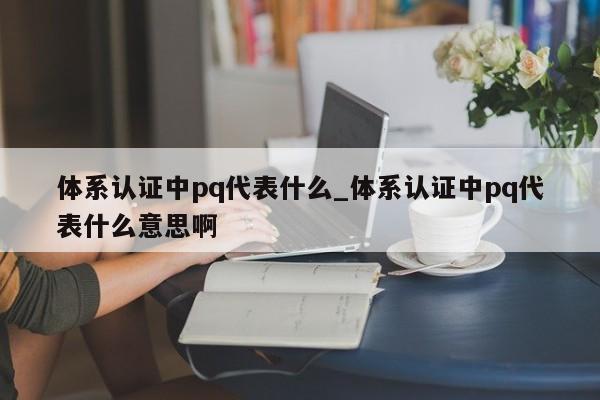 体系认证中pq代表什么_体系认证中pq代表什么意思啊