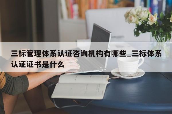 三标管理体系认证咨询机构有哪些_三标体系认证证书是什么