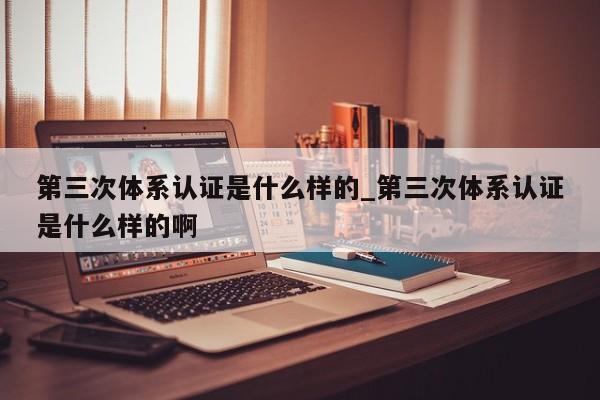 第三次体系认证是什么样的_第三次体系认证是什么样的啊